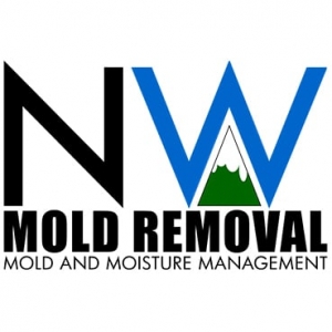 Photo of NW Mold Removal