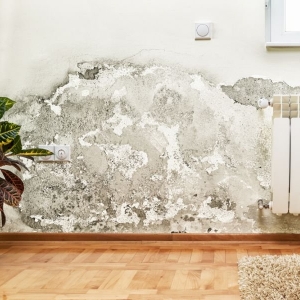 Photo of 24/7 Water Damage Concord