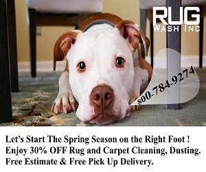 Photo of Rug Wash