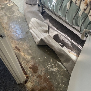 Photo of EZ Dry Flood Damage