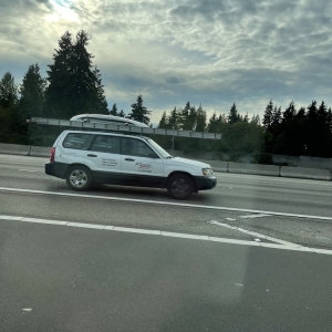 Photo of Steve's Window Cleaning