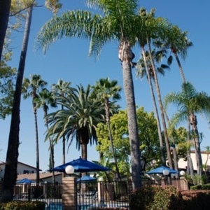 Photo of The Majestic Apartments