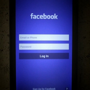 Photo of Warrior Digital Marketing