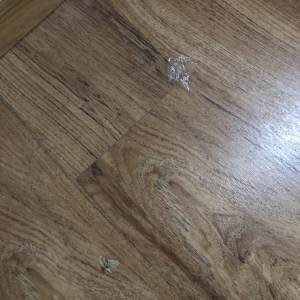 Photo of Real World Cleaning Services