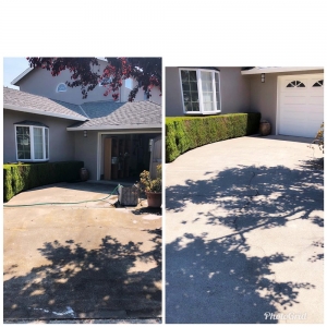 Photo of Fresh & Clean Housekeeping