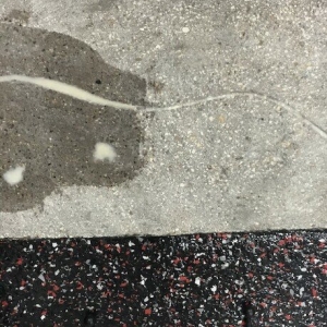 Photo of Hensley Concrete Coatings