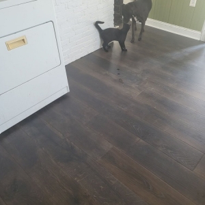 Photo of Floored at Home
