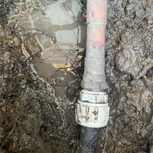 Mesquite Mesquite Plumbing