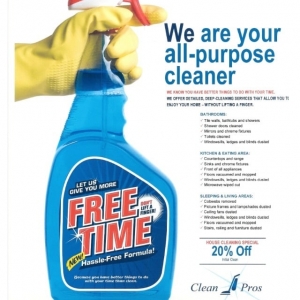 Rolling Meadows Clean Pros