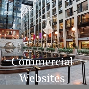 Photo of Native Alchemy Enterprises