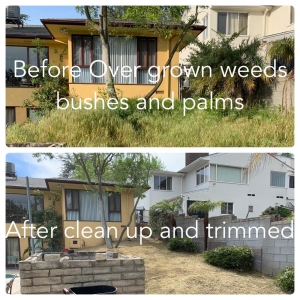 Culver City Carrillos Gardening Services