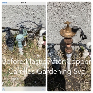 Photo of Carrillos Gardening Services
