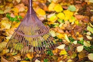 Photo of CJS Lawn & Landscaping