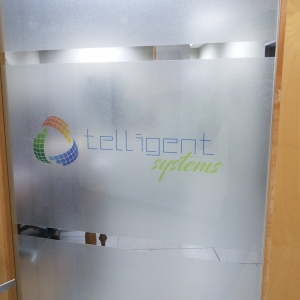 Photo of Telligent Systems