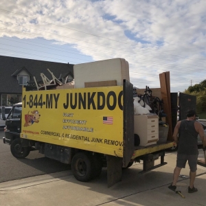 Photo of My Junk Dog Junk Removal, Demolition & Hauling