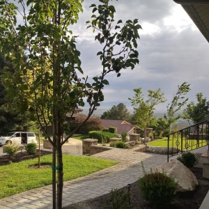 Photo of D Ojeda Construction
