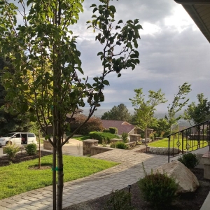 Photo of D Ojeda Construction