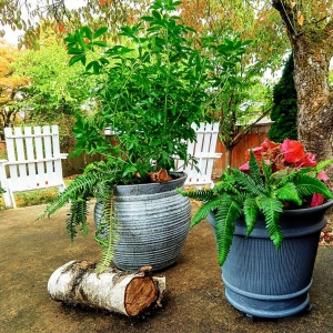 Photo of Stonybrook Landscape Design