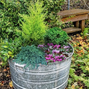 Photo of Stonybrook Landscape Design