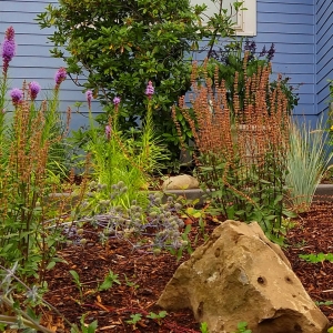 Photo of Stonybrook Landscape Design
