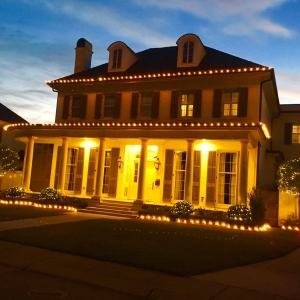 Photo of Big Easy Holiday Lighting