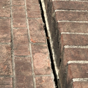 Photo of Sherman's Masonry