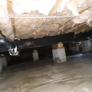 Photo of Diversified Crawlspace Services