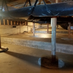 Photo of Diversified Crawlspace Services
