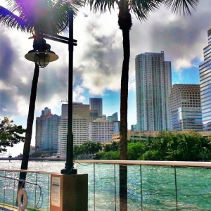 Photo of Carbonell Brickell Key