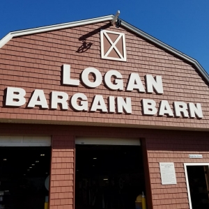 Photo of Logan Steel