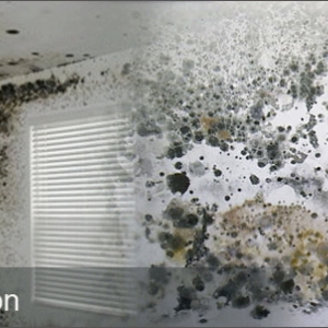 Photo of TCWRC Water Damage Coral Gables