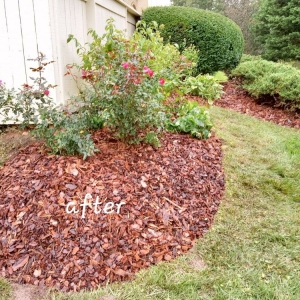 Photo of DC Ayala Landscaping Service