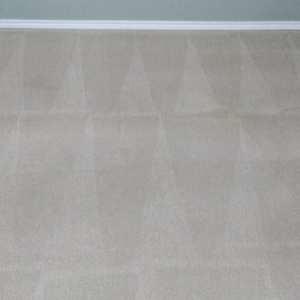 Photo of Barefoot Carpet Care