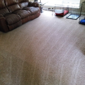 Photo of Barefoot Carpet Care