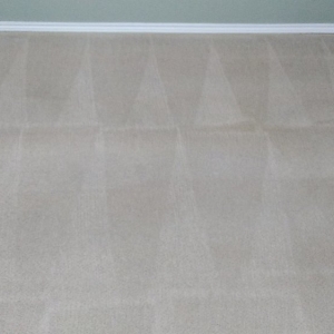 Photo of Barefoot Carpet Care