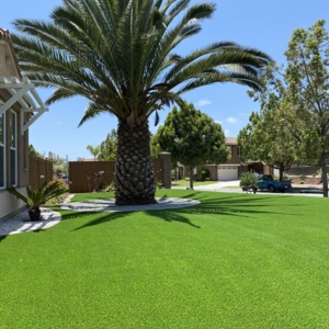 Photo of Roobs Turf