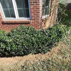 Photo of The Lawn Stylist