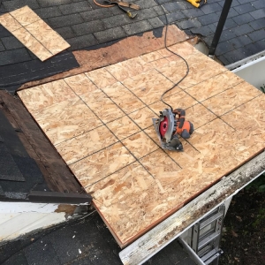Photo of Your Roof Medic