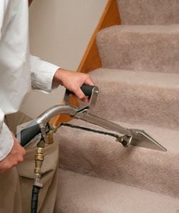 Photo of Young Carpet Cleaning