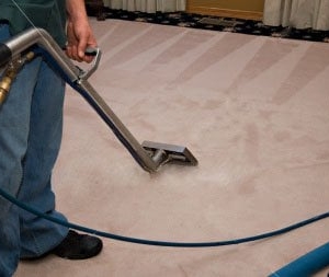 Photo of Young Carpet Cleaning