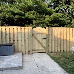 Photo of Deck and Restoration