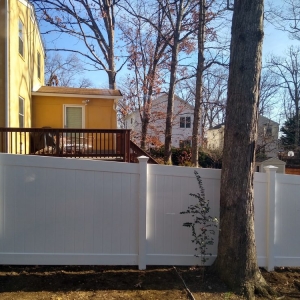 Photo of Deck and Restoration
