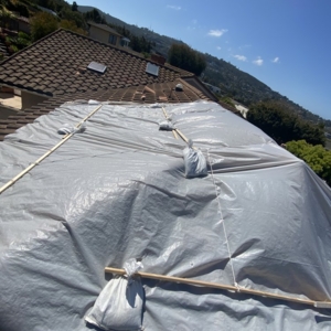 Photo of Roof Expert