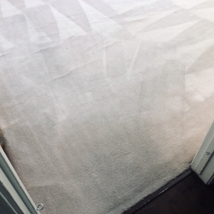 Photo of Champs Rug & Sofa Cleaning