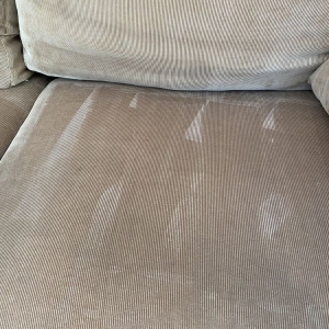 Photo of Champs Rug & Sofa Cleaning