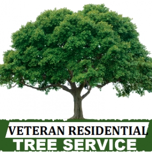 Charlotte Veteran Residential Works