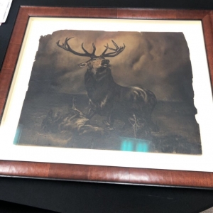 Photo of Prism Specialties Art of Central Texas