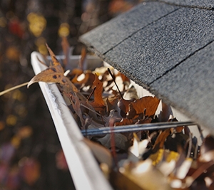 Photo of Clebers Window Cleaning