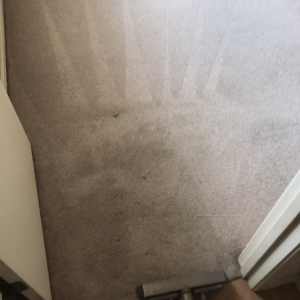 Photo of Mirandas Carpet Cleaning
