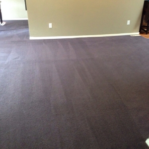 Photo of All-State Carpet Cleaning & Services